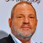 harvey weinstein net worth