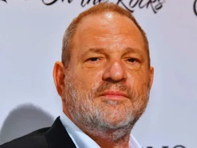 harvey weinstein net worth