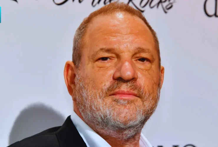 harvey weinstein net worth